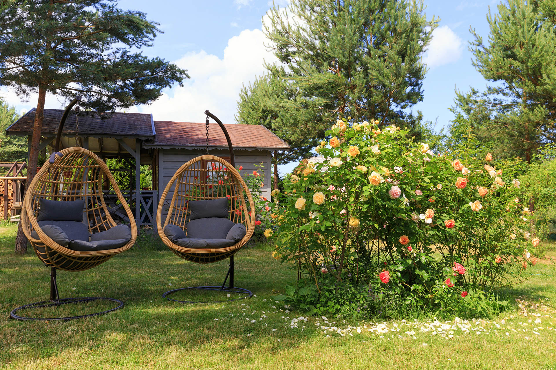 Egg shapped hanging garden chairs in summer time