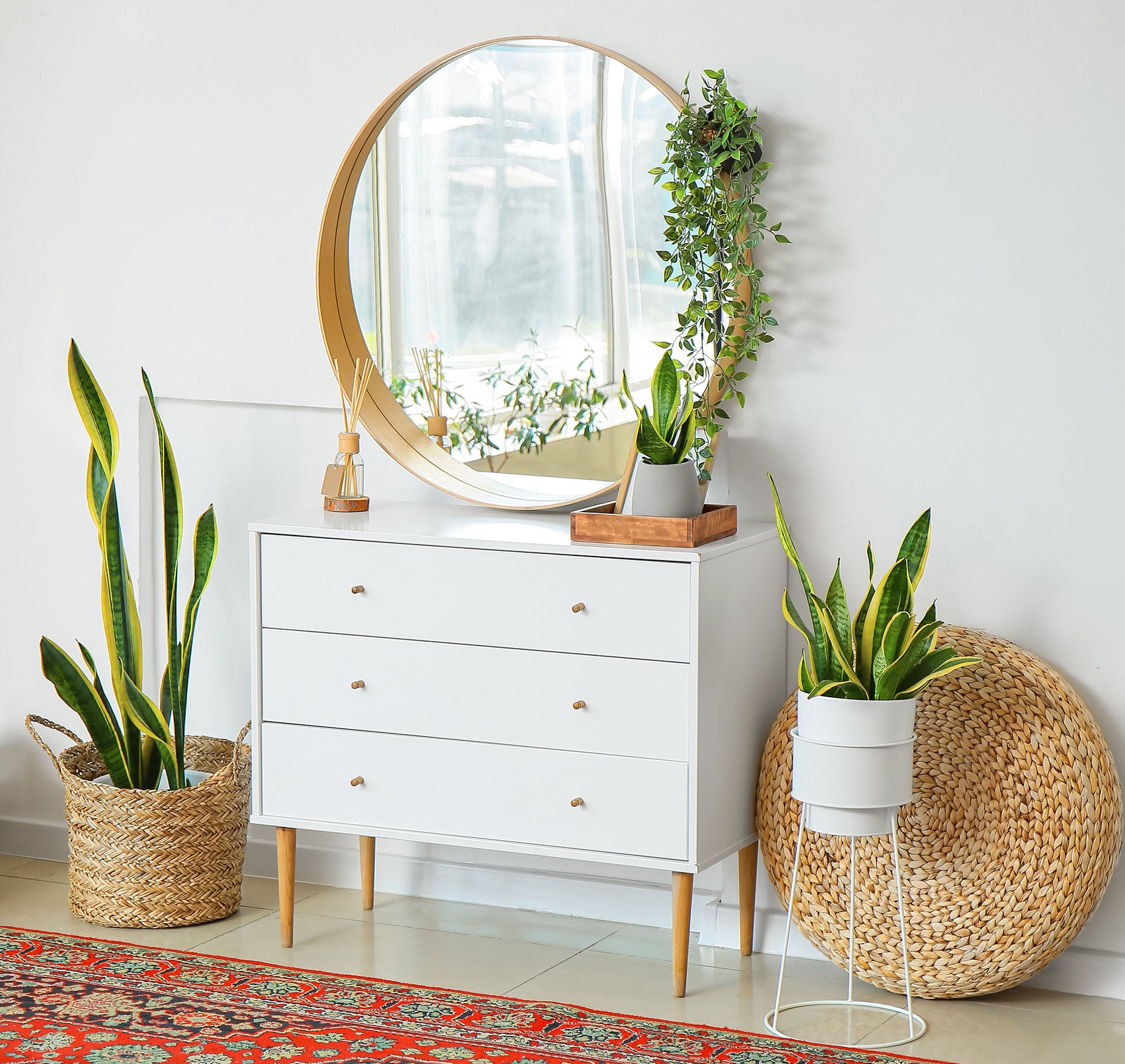 Hallway mirror and shelving unit with plant pots
