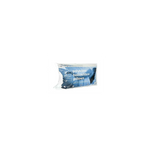 Sarah Jayne Polyester 500g Pillow Pair - Cushions