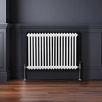 Monster Shop Traditional Radiator 600x832mm White Finish Two Column Carbon Steel For Home Heating - Radiator