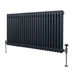 Premium 2-Column Radiator 600x1192 Anthracite by Monster Shop