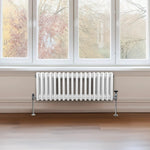 Monster Shop Traditional Radiator 300x832mm 3-Column Home - Radiator