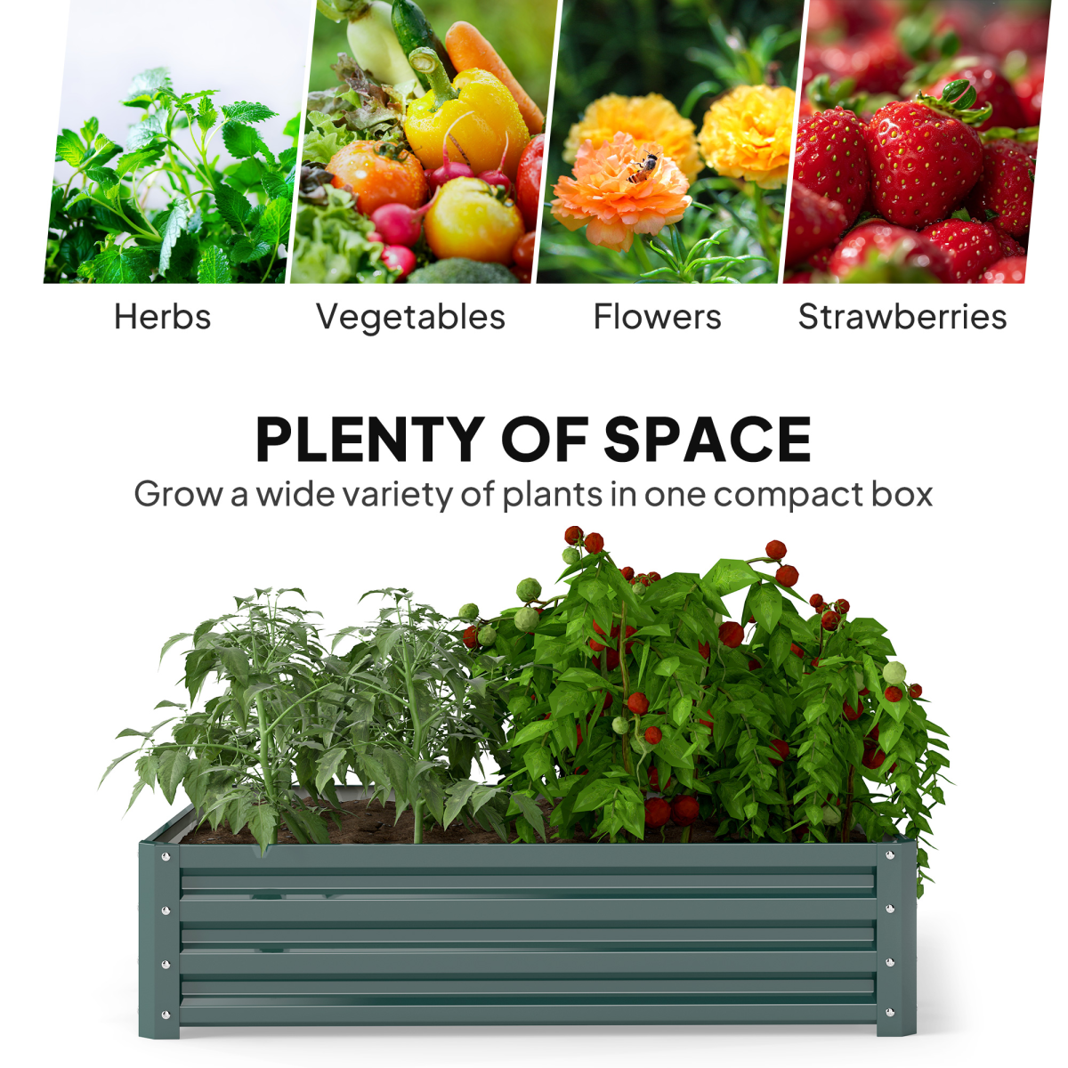 Premium raised garden bed 120x120cm filled with tomato and leafy greens in an open-bottom planter.