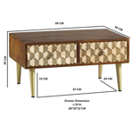 Indian Hub Edison Coffee Table With 2 Drawers - Coffee Table