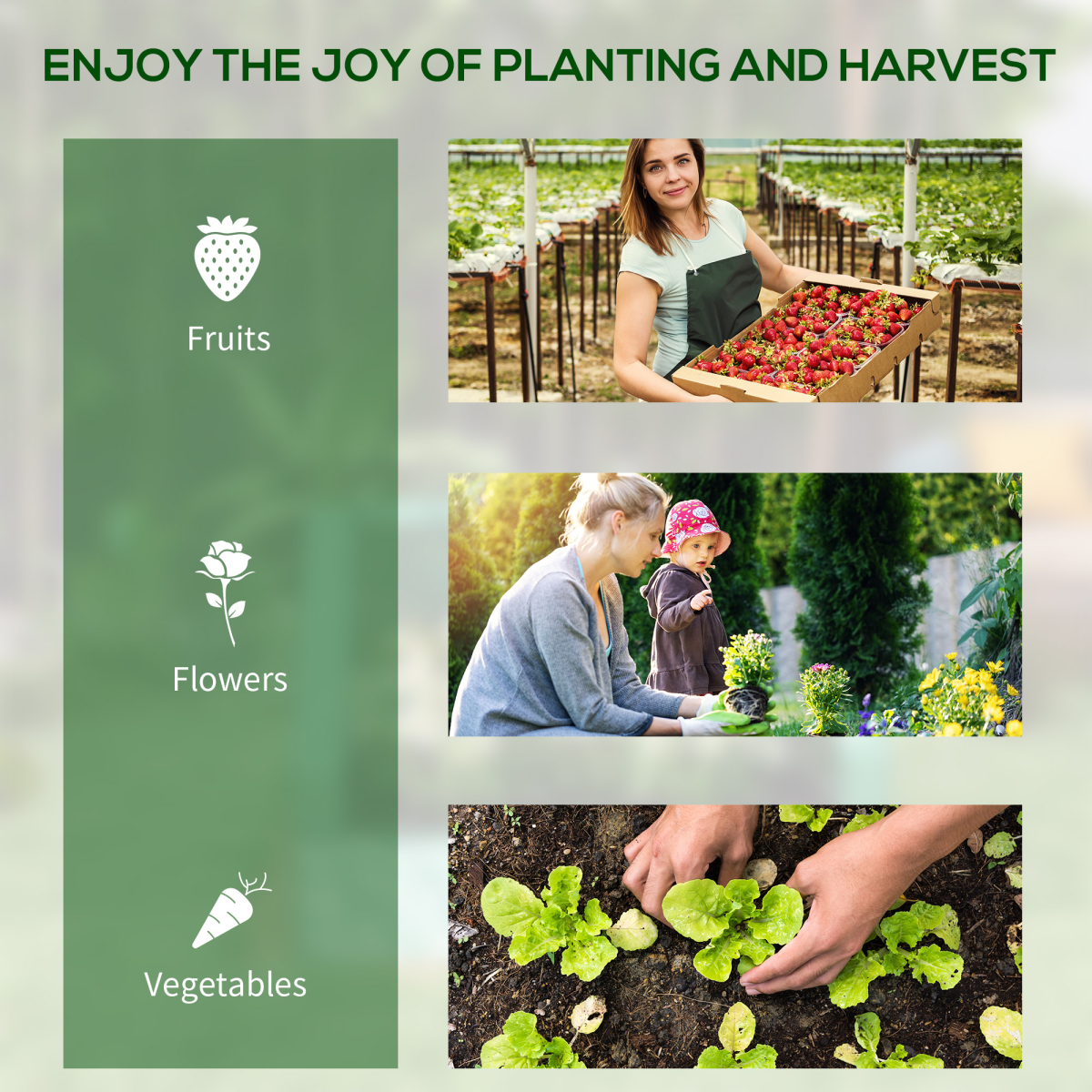 Outsunny Raised Garden Bed Planter with 10cm Edge Greenhouse; fruits, flowers and vegetables, strawberries.