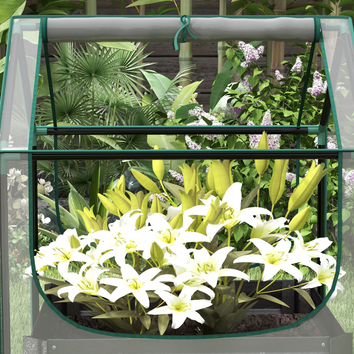 Outsunny raised garden bed planter with 10cm edge greenhouse, galvanised steel base and clear cover in a garden.