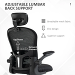 Vinsetto Mesh Chair Headrest 4D Lumbar Office by Vinsetto