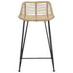 vidaXL vidaXL Bar Stool 2 pcs Natural 44 x 45 x 76 cm Rattan and Steel - Bar Stool