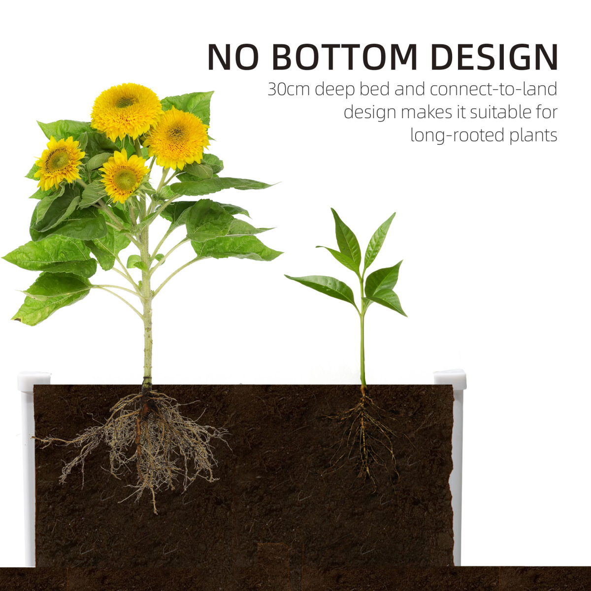 Outsunny garden raised bed planter 40x14x8 with a mature sunflower and a young seedling showing roots in soil.