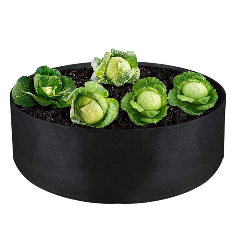 Durable grow bag, round black planter, 70cm dia 30cm high, with soil and young cabbage plants.