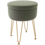 HOMCOM HOMCOM 5L Velvet Footstool with Removable Lid for Bedroom - Footstool