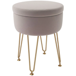HOMCOM HOMCOM 5L Velvet Footstool with Removable Lid for Bedroom - Footstool
