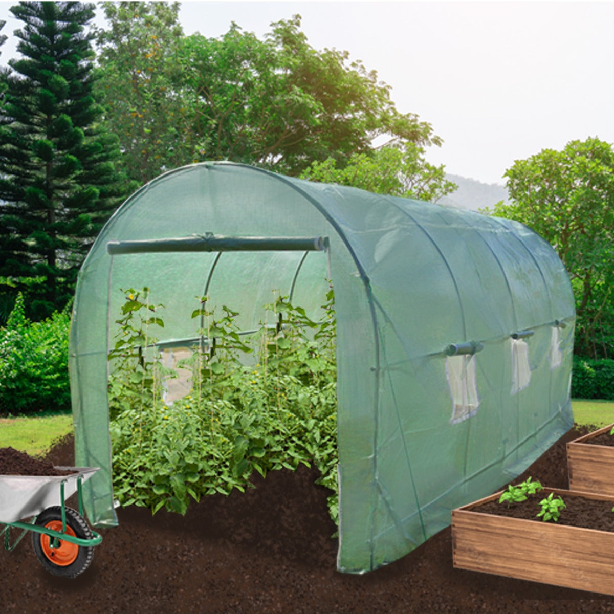 Polytunnel Greenhouse 6m X 3m 25mm Frame Durable Cover For Home Gardeners All Season Growing