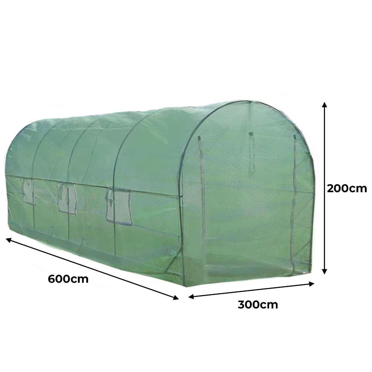 Polytunnel Greenhouse 6m X 3m 25mm Frame Durable Cover For Home Gardeners All Season Growing