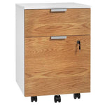 HOMCOM 2 Drawer Filing Cabinet with Adjustable Hanging Bars for A4 and Letter by HOMCOM