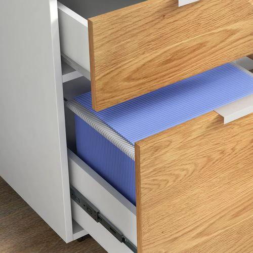 HOMCOM 2 Drawer Filing Cabinet with Adjustable Hanging Bars for A4 and Letter by HOMCOM