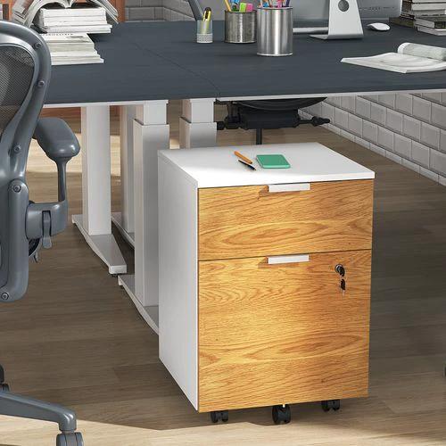HOMCOM 2 Drawer Filing Cabinet with Adjustable Hanging Bars for A4 and Letter by HOMCOM