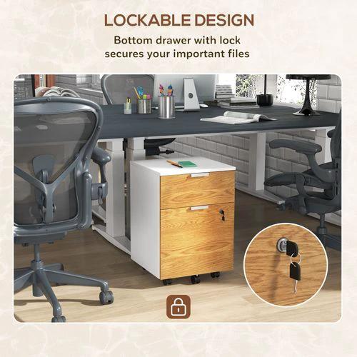 HOMCOM 2 Drawer Filing Cabinet with Adjustable Hanging Bars for A4 and Letter by HOMCOM