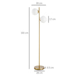 2 Glass Homcom Shade Floor Lamp Metal Pole Modern Decorative Floor Switch Gold - Lamp from HOMCOM