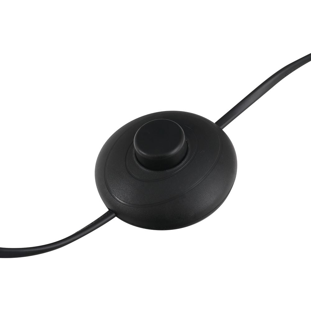 2 Glass Homcom Shade Floor Lamp Metal Pole Modern Decorative Floor Switch Gold - Lamp from HOMCOM