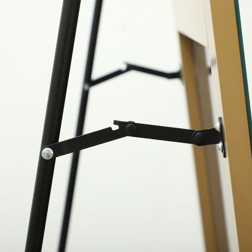 HOMCOM Floor Mirror Wall Mount Leaning Standing Mirror 50 x 150cm Gold Tone - Mirror from HOMCOM