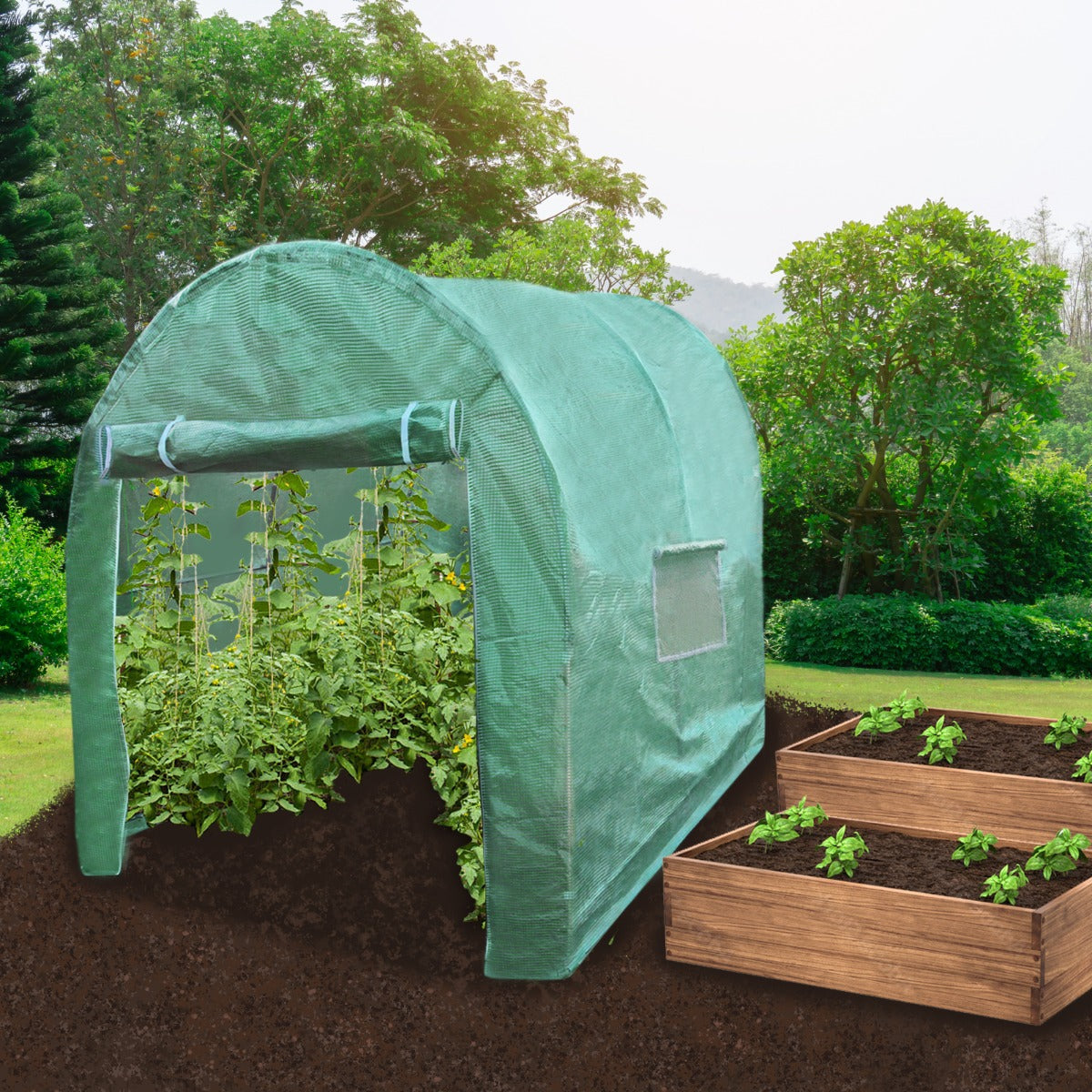 Heavy Duty Polytunnel 19mm 4m By 2m Waterproof Windproof All Season Outdoor Gardening