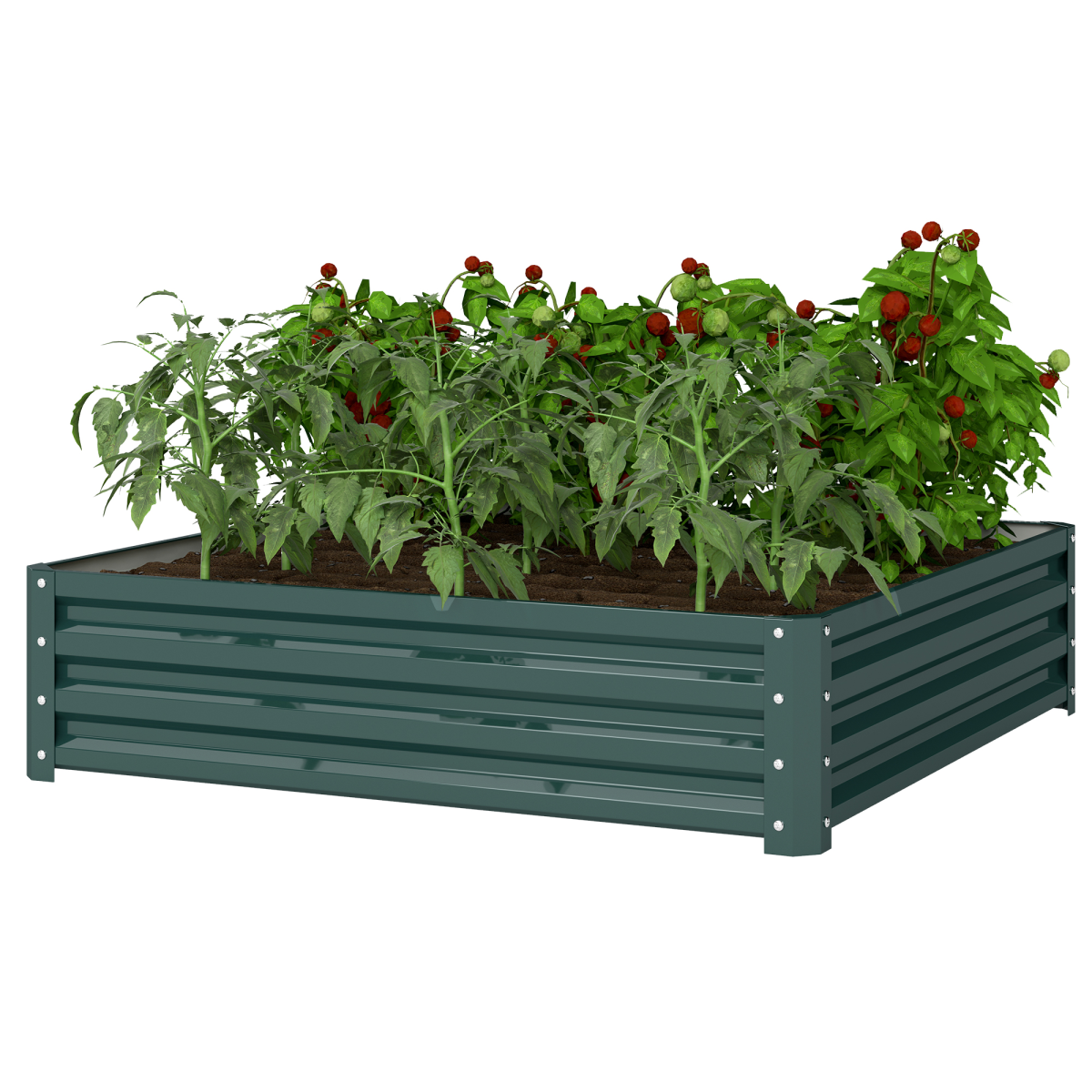 Premium raised garden bed 120x120cm with tomato plants and greens