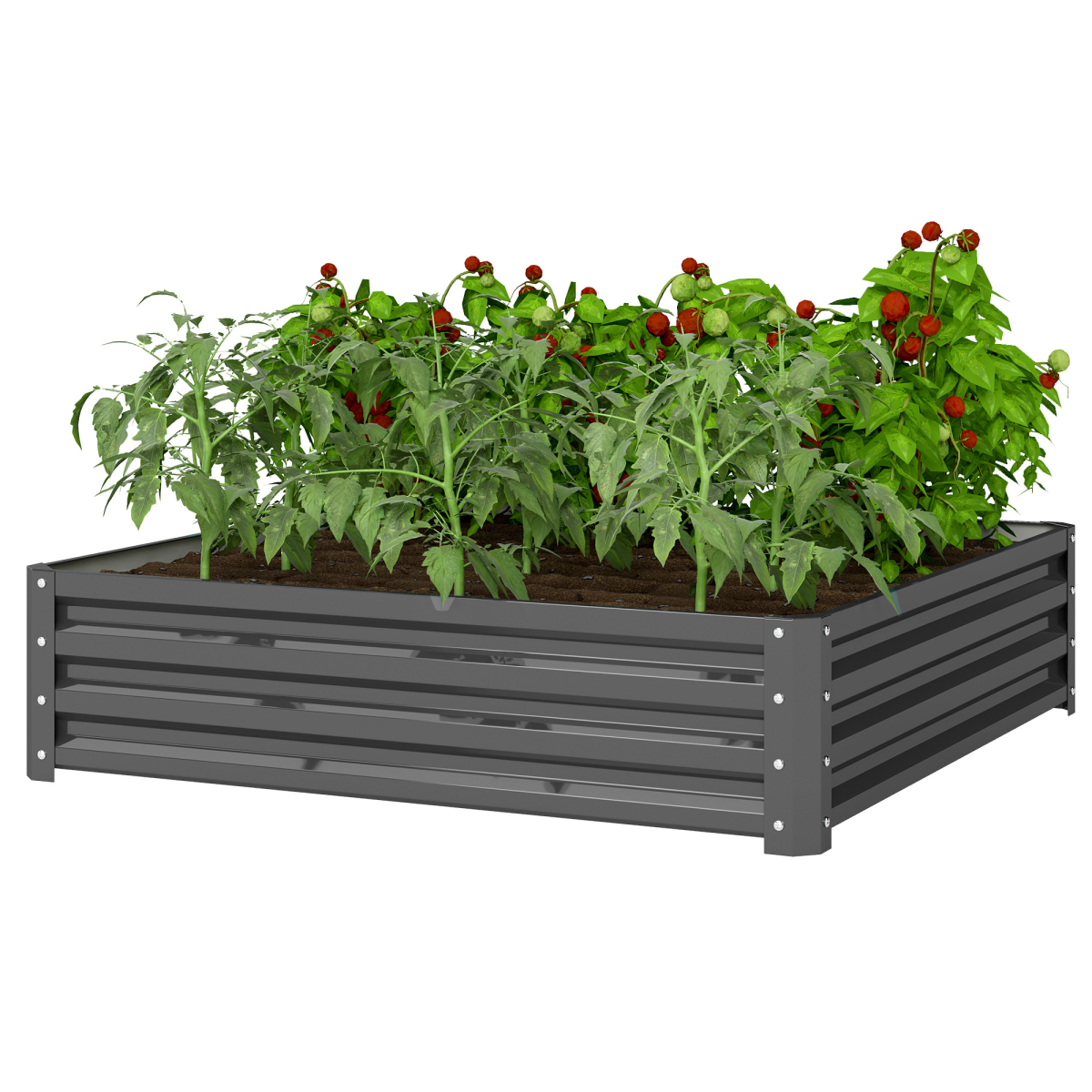 Outsunny raised garden bed, 30cm galvanised steel, outdoor with thriving tomato plants.