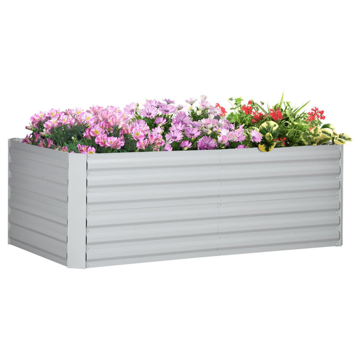 Galvanised steel raised bed 180x90cm with flowering plants and reinforced rods.