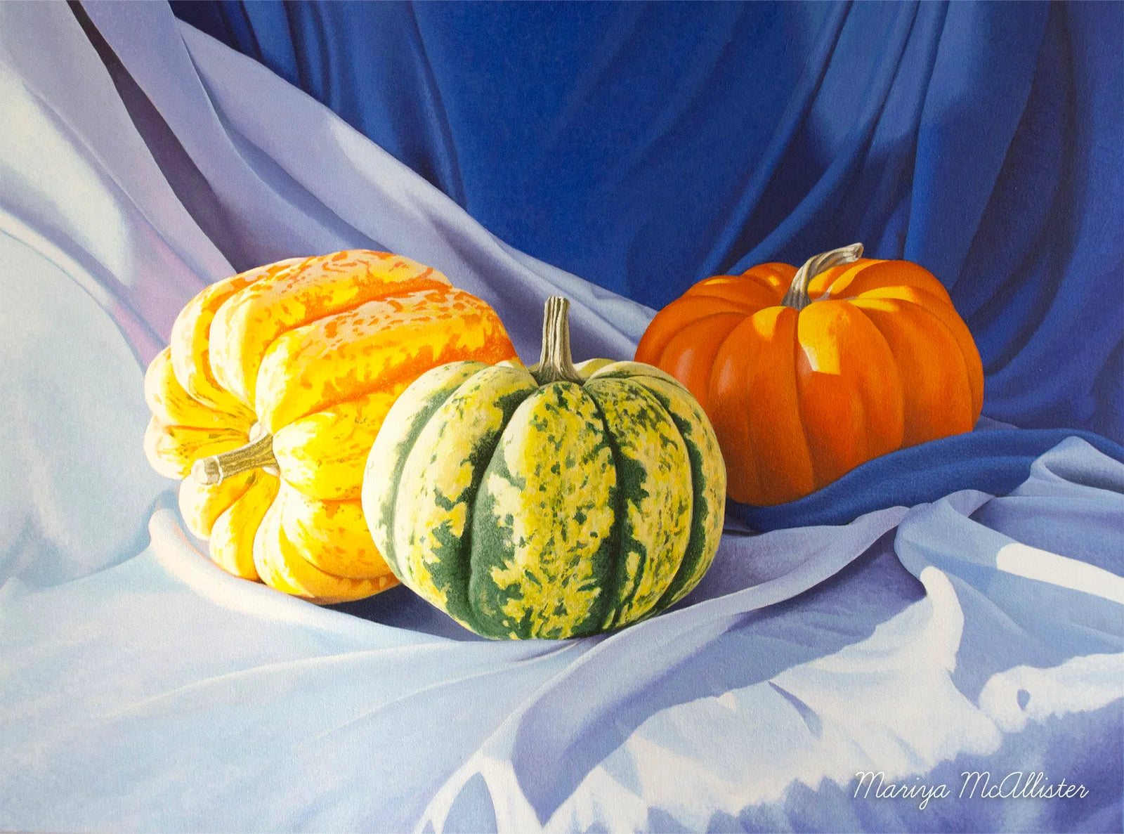 Pumpkins - Wall Art from Mariya McAllister