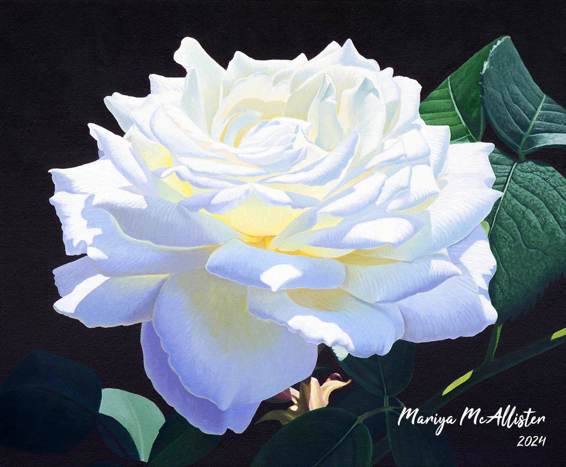 Solace - Wall Art from Mariya McAllister