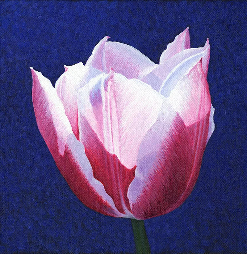 Tulip - Wall Art from Mariya McAllister