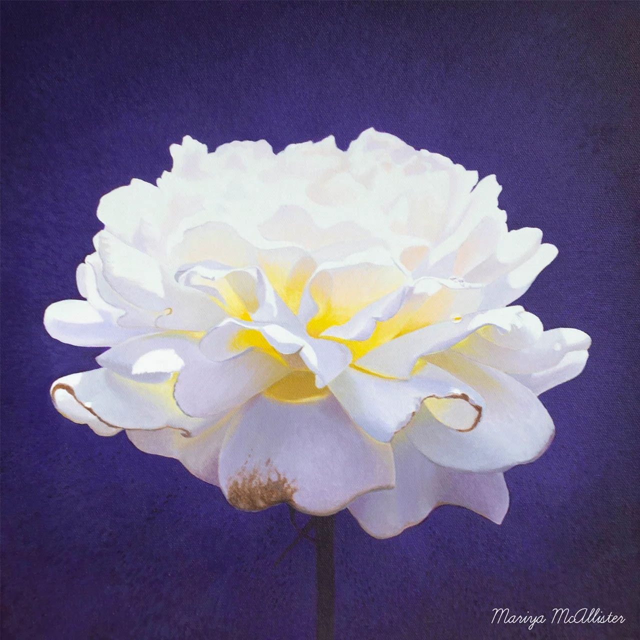 The Light Within - Wall Art from Mariya McAllister