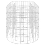 vidaXL vidaXL Gabion Raised Bed Galvanised Iron 120x50x50 cm - Raised Beds