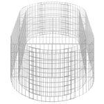 vidaXL vidaXL Gabion Raised Bed Galvanised Iron 120x50x50 cm - Raised Beds