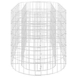 vidaXL vidaXL Gabion Raised Bed Galvanised Iron 120x50x50 cm - Raised Beds