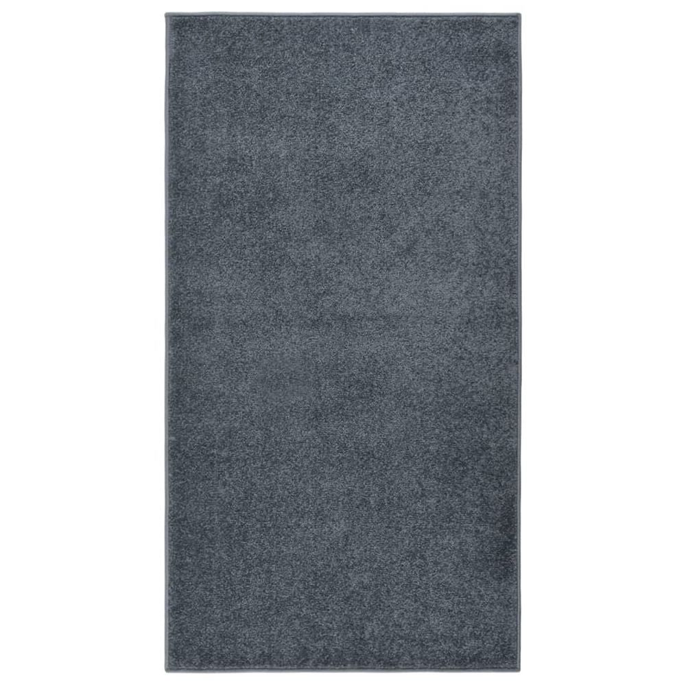 vidaXL Rug Short Pile 80x150 cm Anthracite - Rug from vidaXL