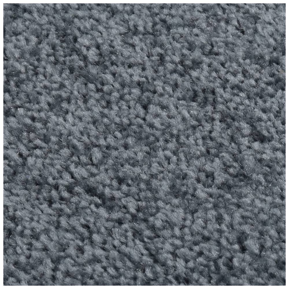 vidaXL Rug Short Pile 80x150 cm Anthracite - Rug from vidaXL