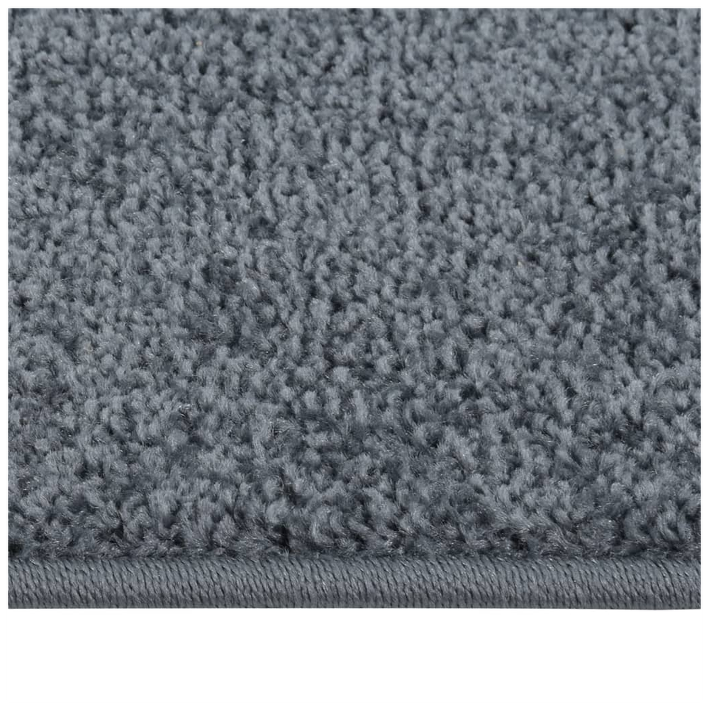 vidaXL Rug Short Pile 80x150 cm Anthracite - Rug from vidaXL