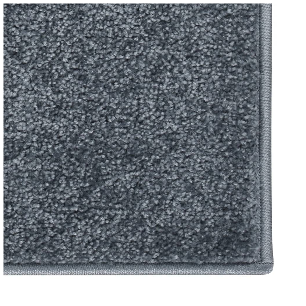 vidaXL Rug Short Pile 80x150 cm Anthracite - Rug from vidaXL