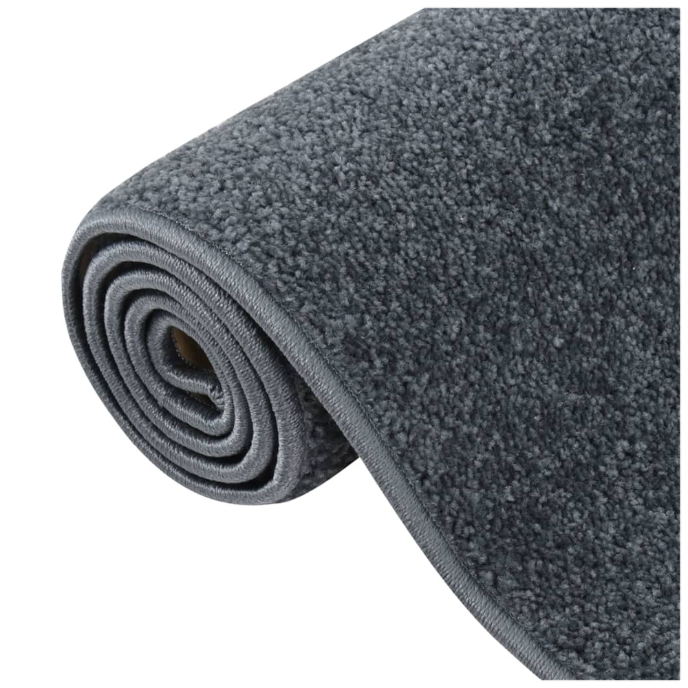vidaXL Rug Short Pile 80x150 cm Anthracite - Rug from vidaXL