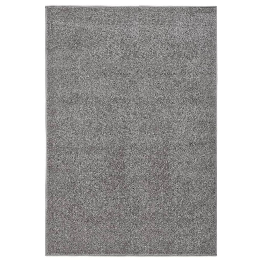 vidaXL Rug Short Pile 80x150 cm Anthracite - Rug from vidaXL